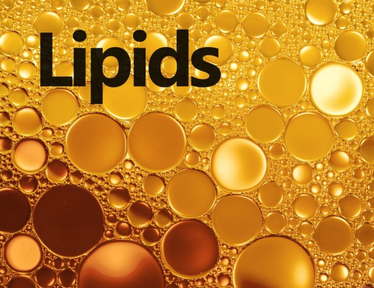 Image of lipids